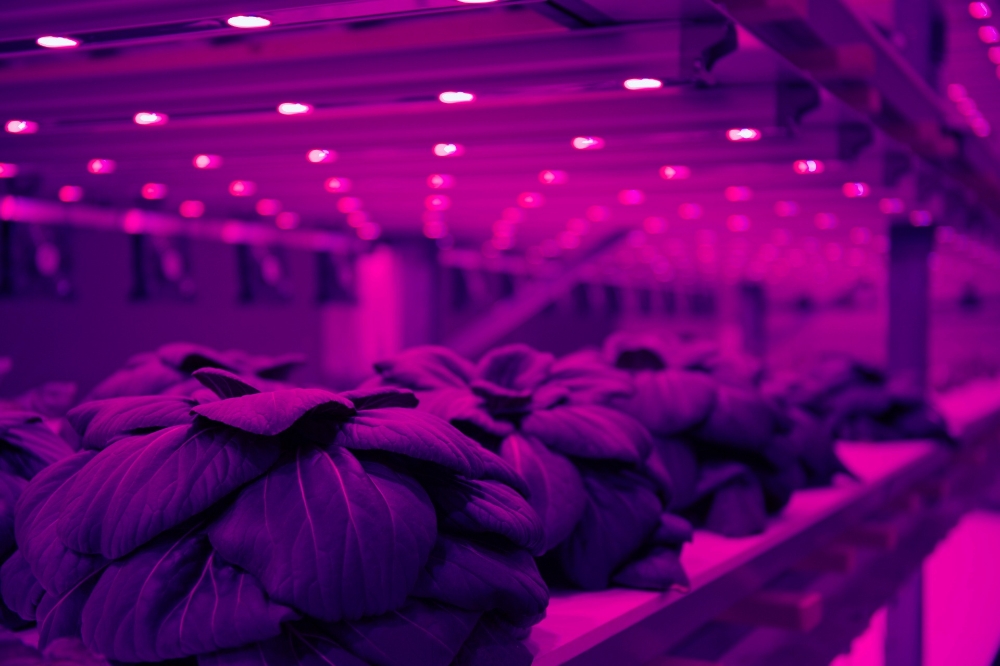 Basel startup aims to change agriculture sector