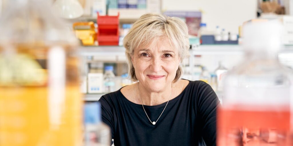 Basel researchers developing universal cancer therapy